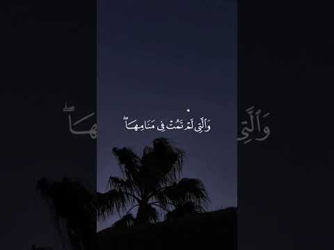 الله يتوفى الانفس حين موتها