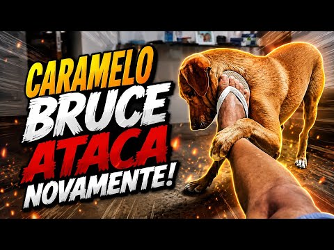 CARAMELO ME ATACA NOVAMENTE!