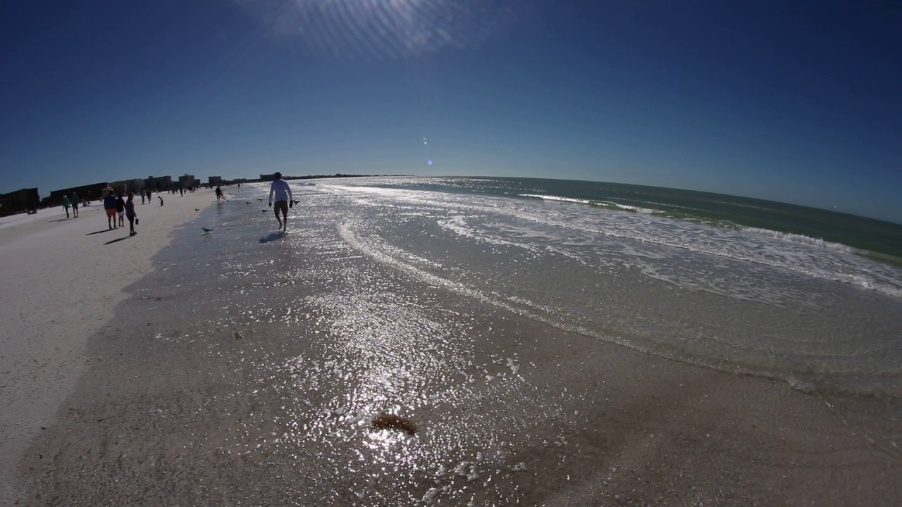 The beach from a fisheye view birds chirping