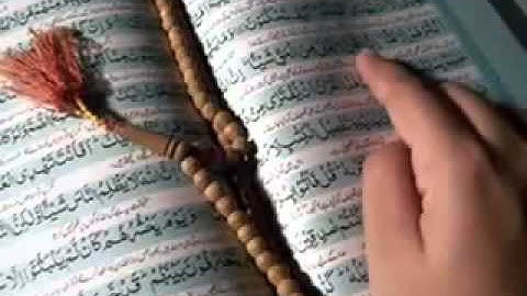قراءة جميلة جداً سورة التوبة للشيخ نبيل العوضي Holy Quran