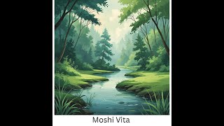 Moshi and VITA-Audio screenshot 1