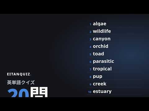 creek の英単語解説動画