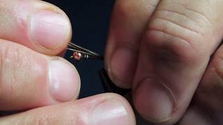 Flashback Pheasant Tail