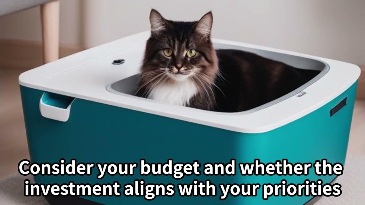 Is a Litter Robot worth it for multiple cats? cat YouTube