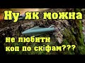 Ну як можна не любити коп по скіфам? Коп online Кощей X45 vs Deus Lite