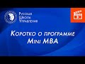 Mini MBA