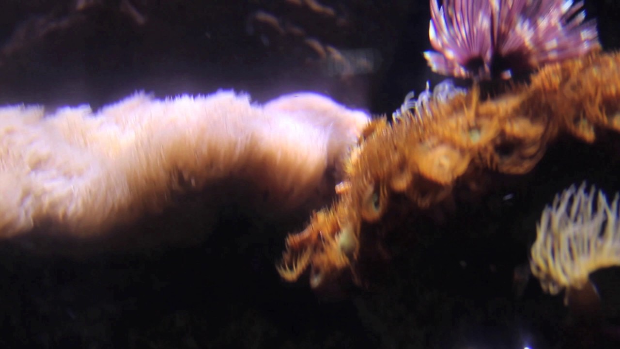 prepare [Prépa Art] Workshop - The Beginners 