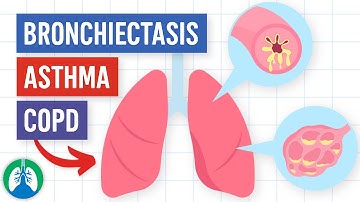 Bronchiectasis vs. Asthma vs. COPD | Comparison and Key Differences