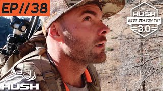 BSY | OCTOBER MULE DEER HUNT | S3E38