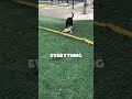 This Tiny Dog Just Made a 13 Year Old’s Day 💛