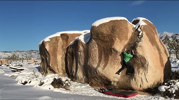 Scuttlebutt, V1. Joshua Tree