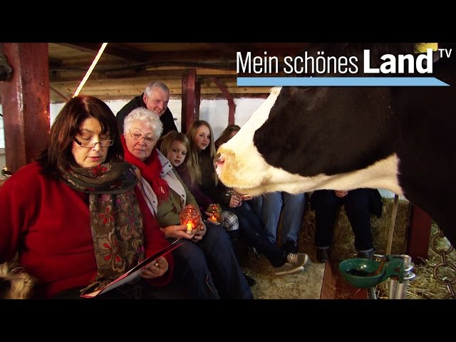 Weihnachten in der Lüneburger Heide - die schönsten Höfe Norddeutschlands (NDR)