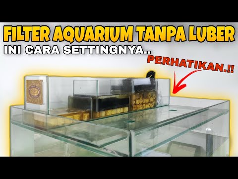 Cara Setting Filter Aquarium Air Anti Luber