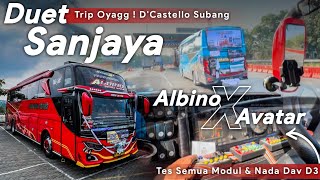 KEMBALI BERULAH !! AKHIRNYA NAIK SANJAYA ALBINO LAGI ! | Trip D'Castello Bareng Rajanya Bus Oyag