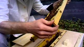 3-х местный 3-х местный