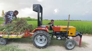 mini tractor 5911 heavy loaded trolly with grass | kids loading grass in mini 5911 Tractor trolly