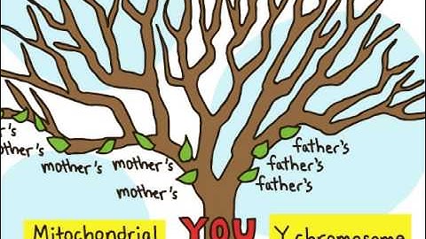 23andMe Relative Finder: Get a brand-new look at your family tree.