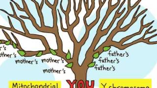 23andMe Relative Finder: Get a brand-new look at your family tree.