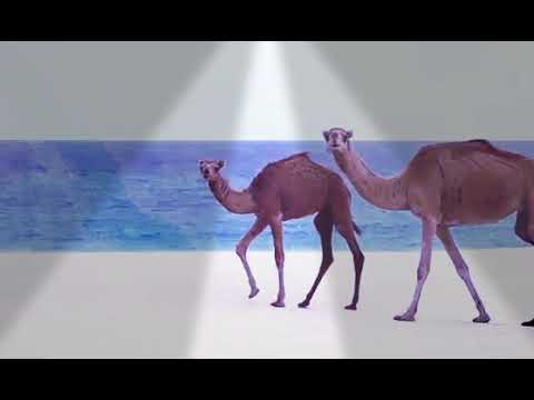 من هم أصل العرب تابع هذ الفيديو وستعرف منهم العرب وماهي أصولهم