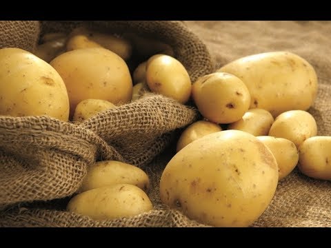 Video: Varietetet më të mira të patates: përshkrimi me foto