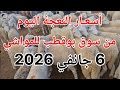 أسعار النعجة من سوق بوقطب للمواشي الثلاثاء 6 جانفي 2026 