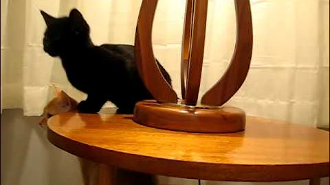 Project of Tue 08 Mar 2011 10:44:41 PM PST