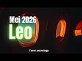 Leo Mei 🦋 Pilihan bertahan pada kekecewaan atau keluar
