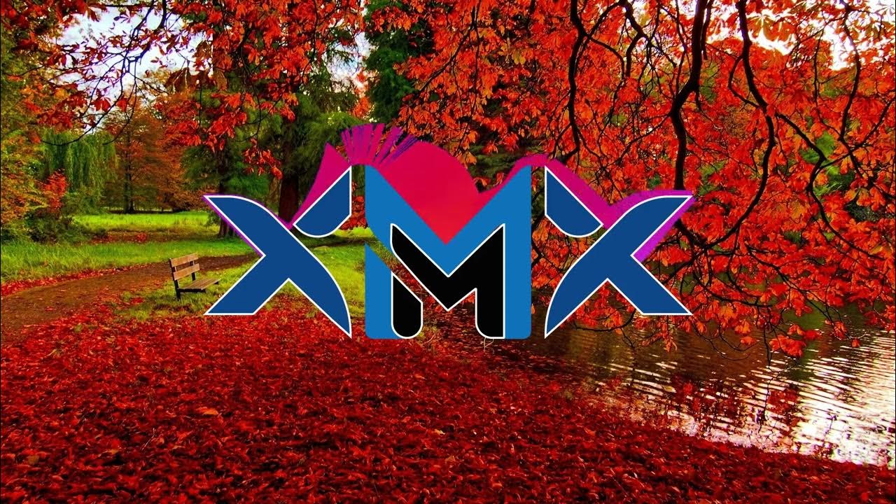 MADELINE JUNO Von jetzt an Remix ( Musikmasterxx ) YouTube