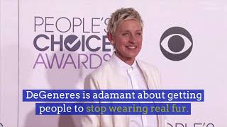 Faux Fur Startup UnHide Sells Warm Blankets screenshot 5