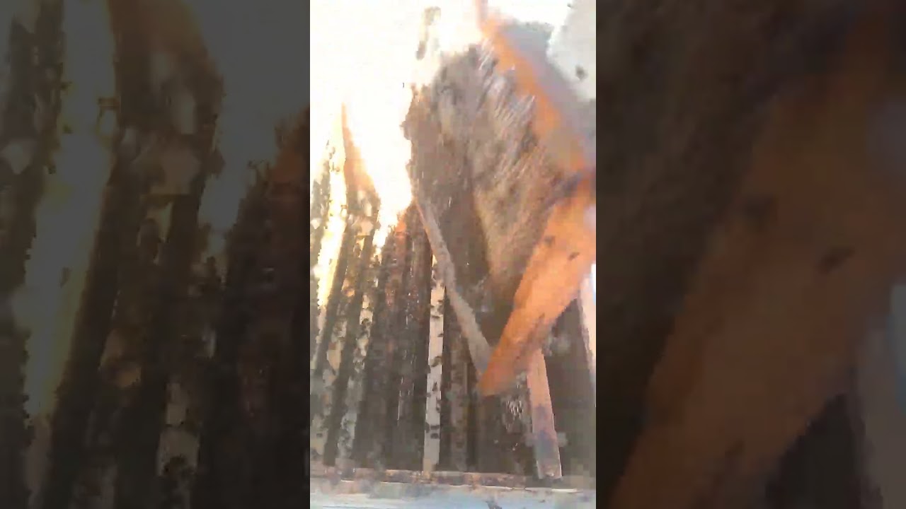 كيفية نزع طرد من الأم في نفس المكان