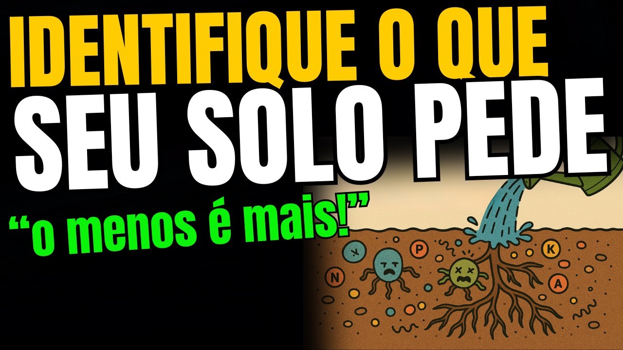 CULTIVO ORGÂNCO: É possível ter OVERFERT? E como resolver?