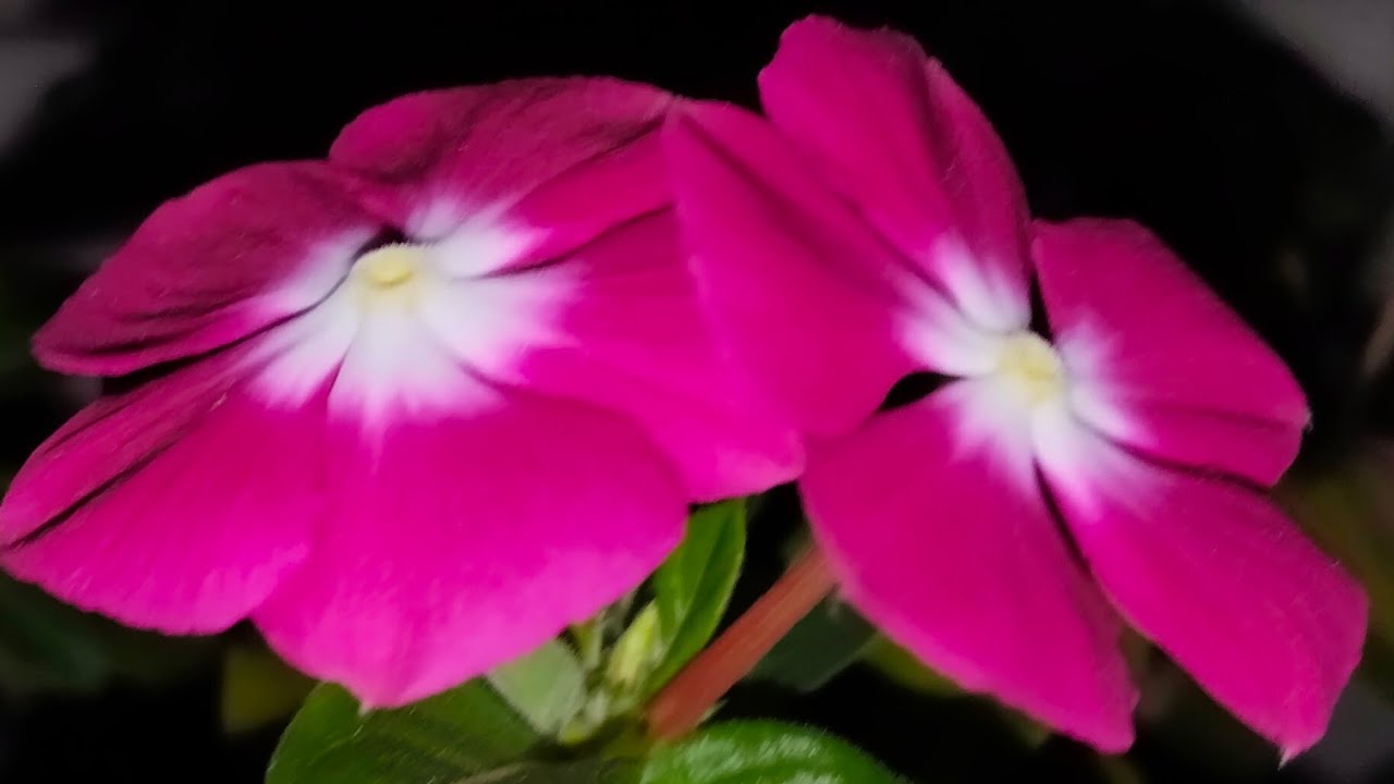 Iruttu Arai is coming....(பாகம் ஒன்று)