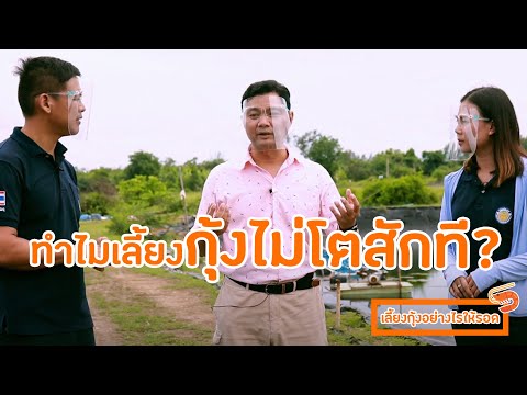 เลี้ยงกุ้งอย่างไรให้รอด Ep. 5 เลี้ยงไปเลี้ยงมา ไม่โตสักที
