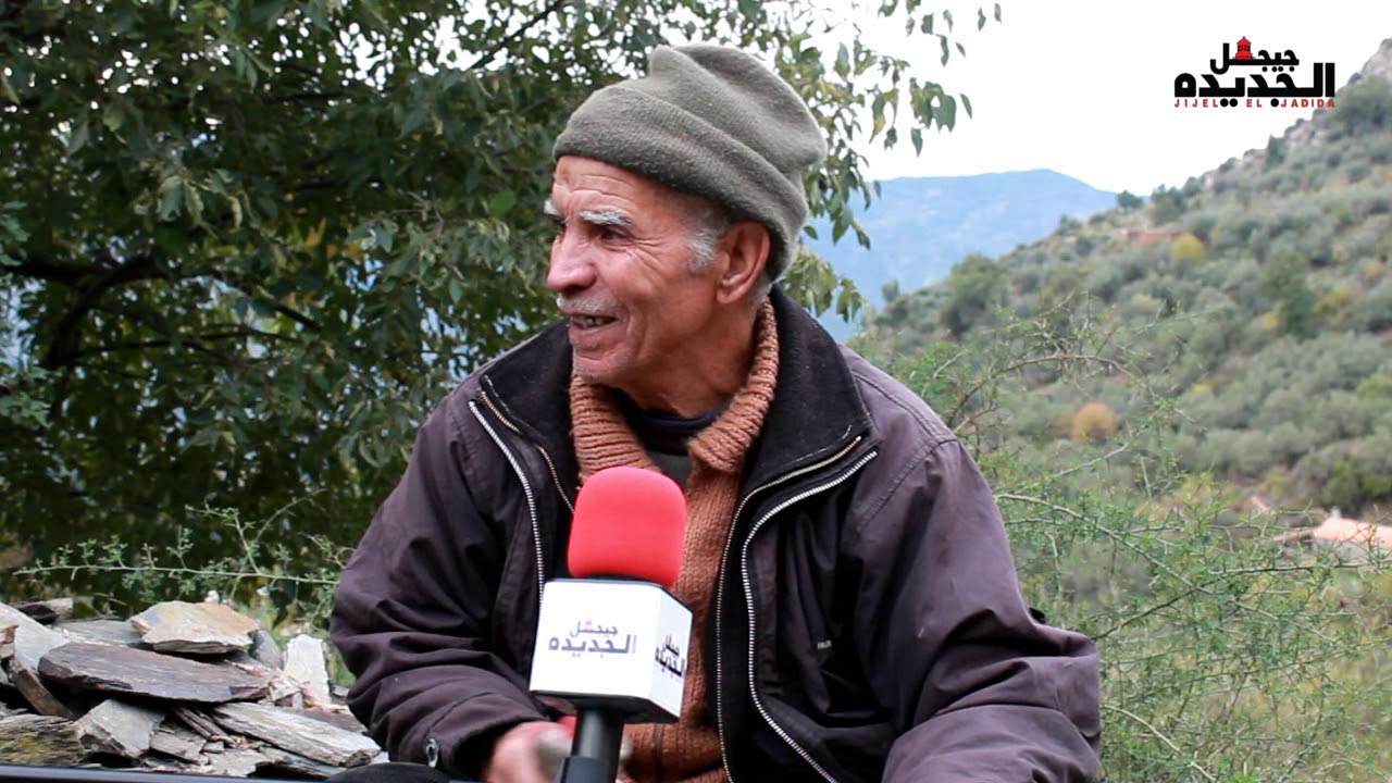 جني الزيتون بين المتعة و المشقة