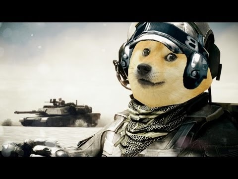 Собака стрим - поиграем csgo - Собака стрим - поиграем csgo