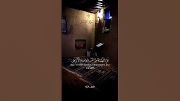 وإذا ذكر الله وحده إشمأزت قلوب الذين لا يؤمنون - القارئ ماهر المعيقلي #قرآن