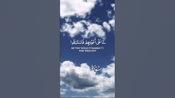 سورة ياسين #اعتني #دويتو #المراره #اكسبلور #اهميه #تيك_توك #راحة_نفسية #لايك #المراه