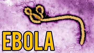 Quanto è contagiosa l Ebola?