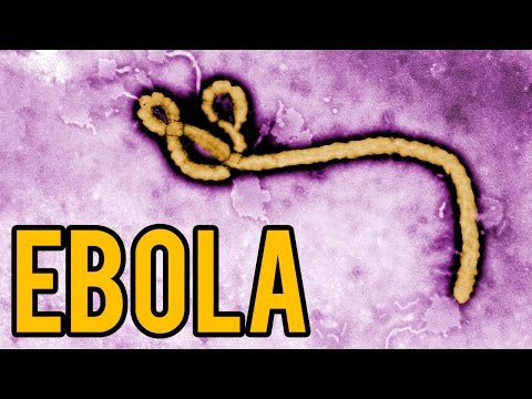 Video: Virus Di Marburg E Febbre Ebola - Visualizzazione Alternativa
