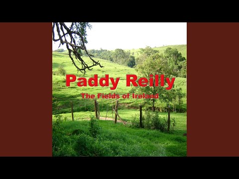 Paddy Reilly - The Old Triangle