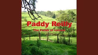 The Old Triangle - Paddy Reilly
