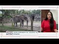 Anuncian cierre permanente del zoológico de Mayagüez | LDSD | WapaTV