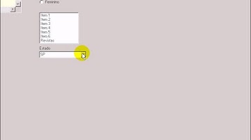 Conhecendo o Delphi   Aula 10   Propriedades do ComboBox