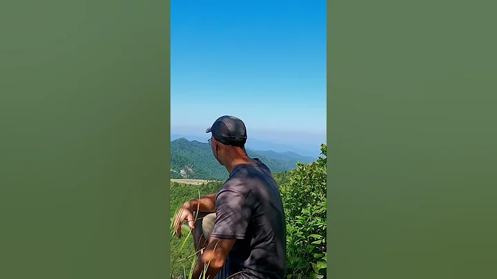 North Carolina 6000 foot summit  of Waterrock Knob, plane crash and Mt Lynn Lowry.