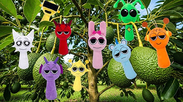 Catch All SPRUNKI Challenge: Can you find all the Sprunki hidden in the Avocado tree? 😱✨