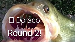 Bass Fishing At El Dorado Park Scottsdale, AZ November 2, 2018 