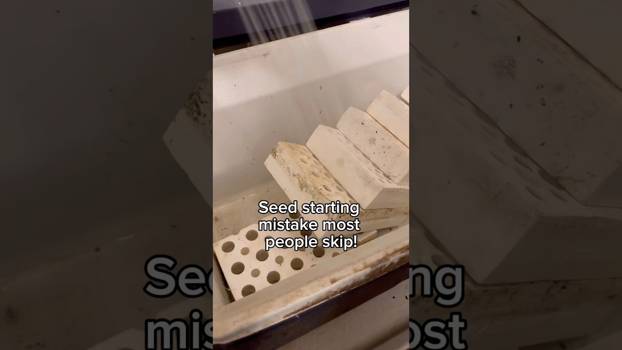 Uploads from From Seed to Spoon Garden Planning App