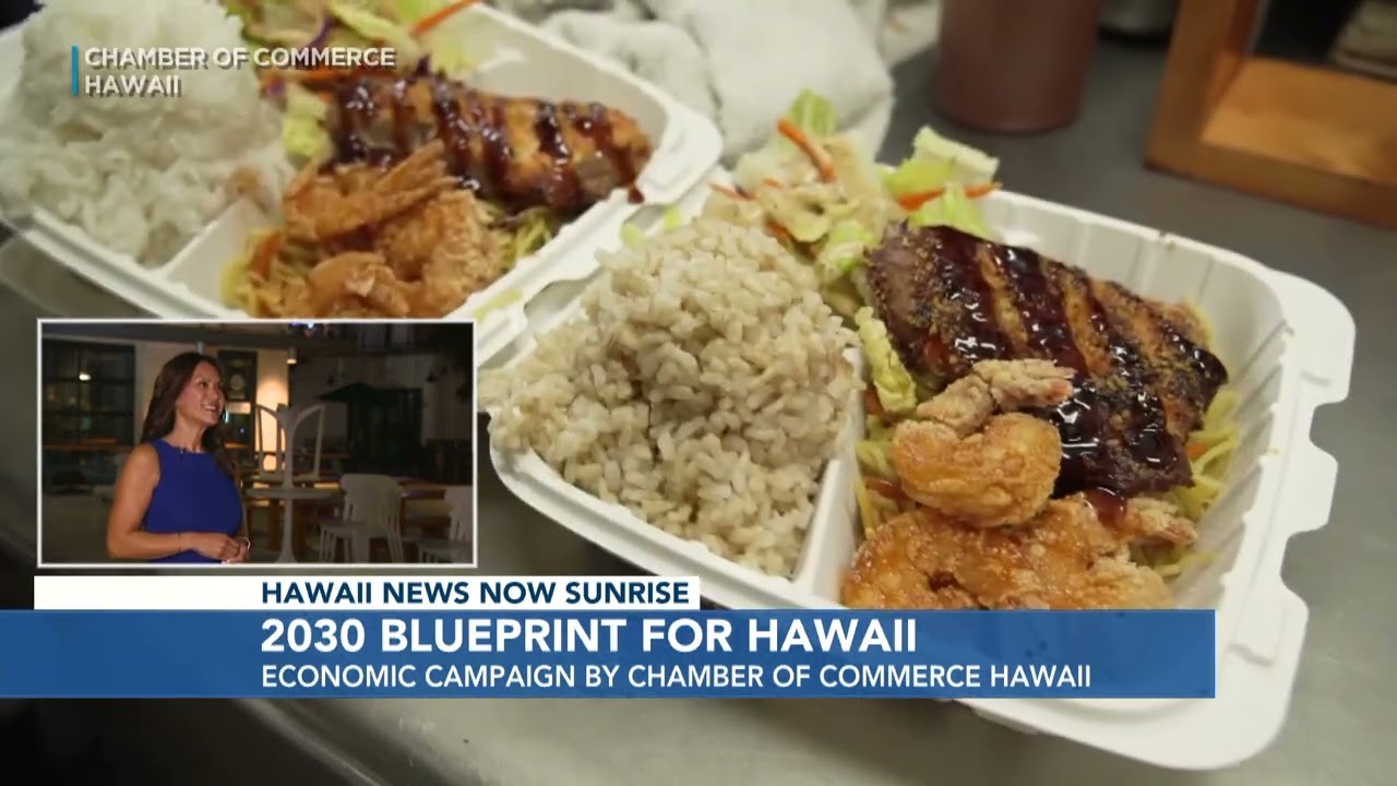 2025 Hawaii News Now: How '2030 Blueprint' helps Hawaii small businesses with Sherry Menor-McNamara