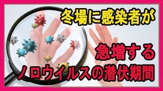 冬場に感染者が急増するノロウイルスの潜伏期間