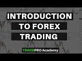 Forex Trading for Beginners - YouTube